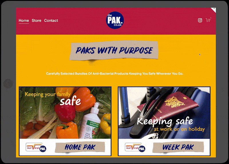 pak website preview